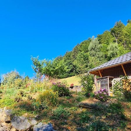 Chambre D'Hotes L'Aire Du Temps Savoyard อูฌีน ภายนอก รูปภาพ
